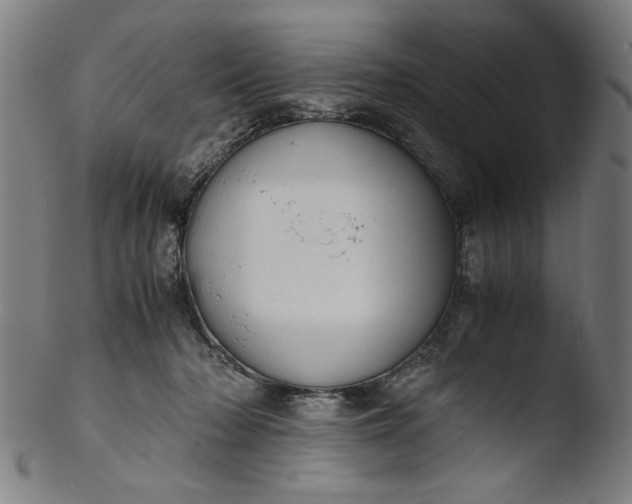 X0000103410318200809261649