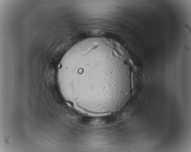 X0000103410319200809261649