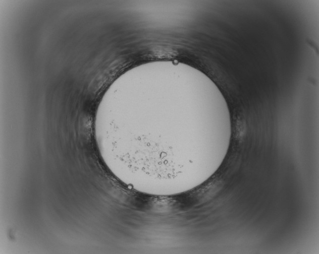 X0000103410321200809261649