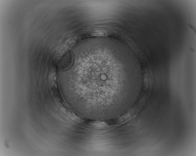 X0000103410322200809261649