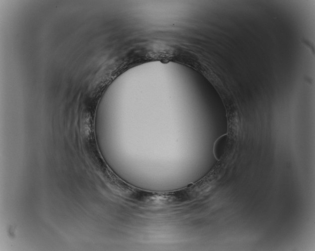 X0000103410323200809261649