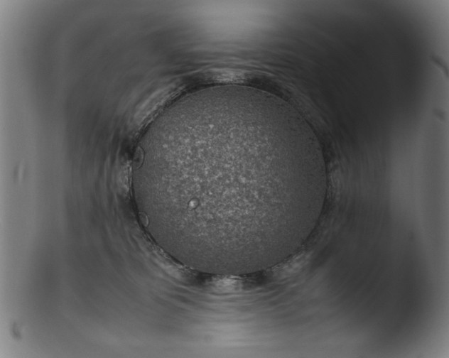 X0000103410325200809261649