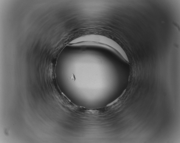 X0000103410328200809261649