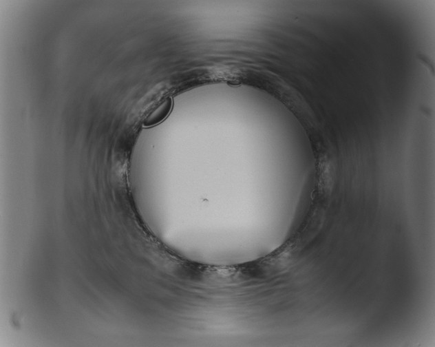 X0000103410329200809261649