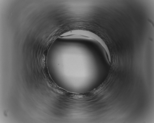 X0000103410332200809261649