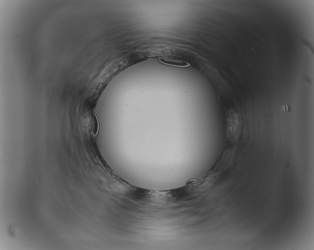 X0000103410333200809261649