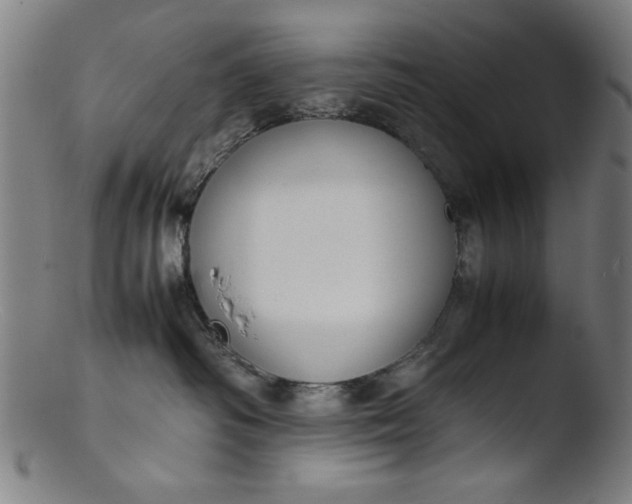 X0000103410334200809261649