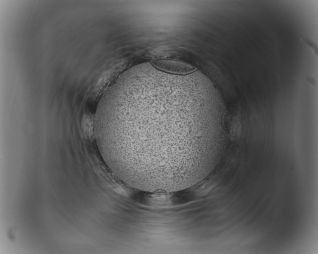 X0000103410335200809261649