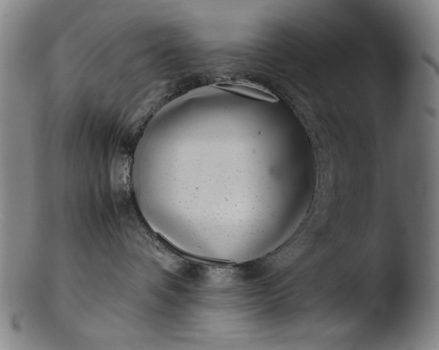 X0000103410336200809261649