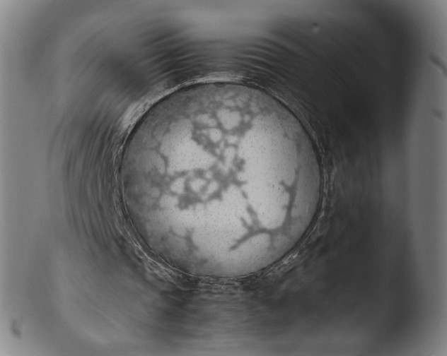 X0000103410337200809261648