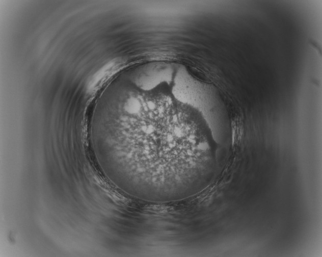 X0000103410339200809261648