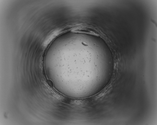 X0000103410341200809261649