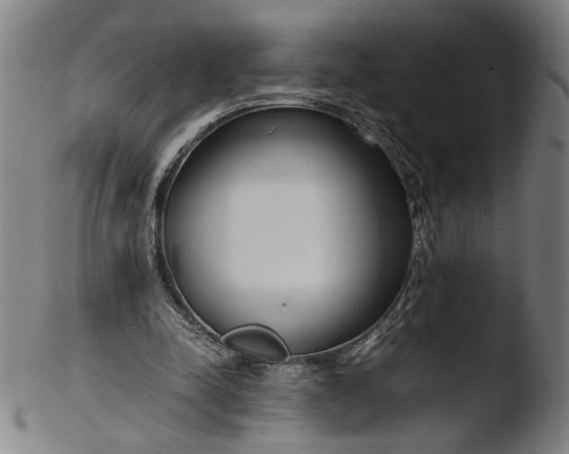 X0000103410342200809261649