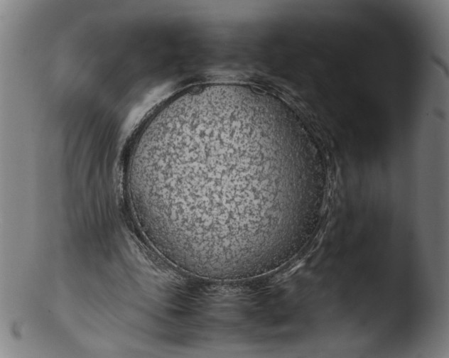 X0000103410343200809261649