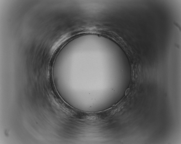 X0000103410344200809261649