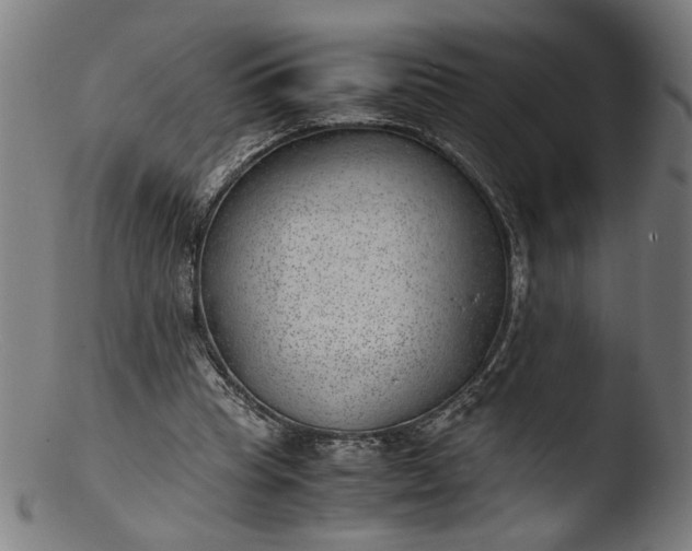 X0000103410345200809261649