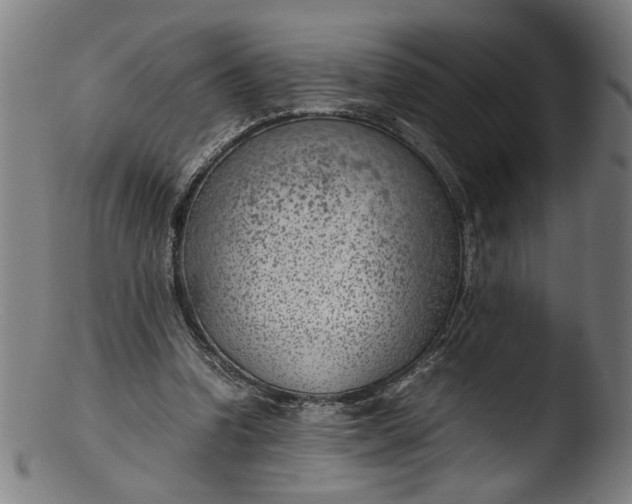 X0000103410346200809261649