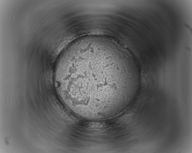 X0000103410347200809261649