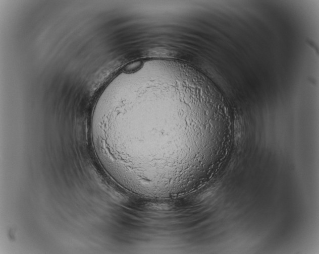 X0000103410349200809261649