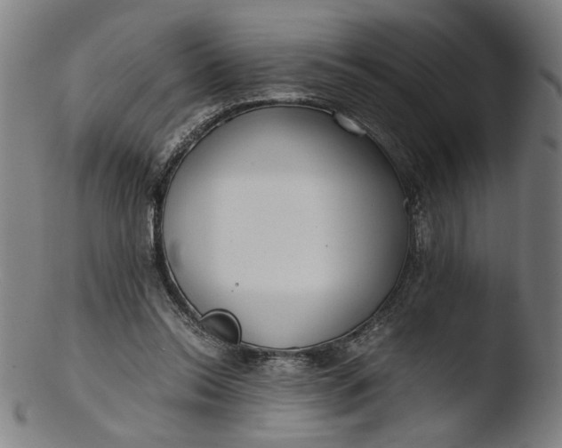 X0000103410350200809261649