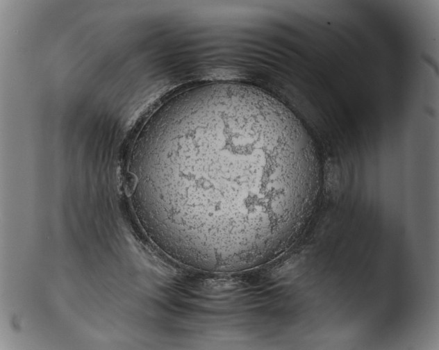 X0000103410351200809261649