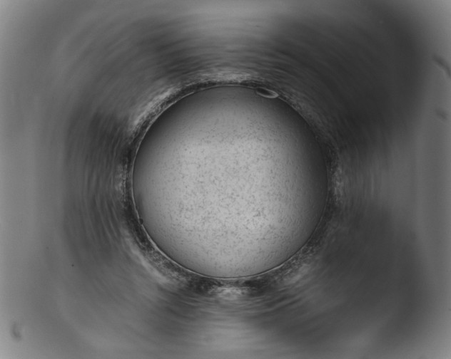 X0000103410352200809261649