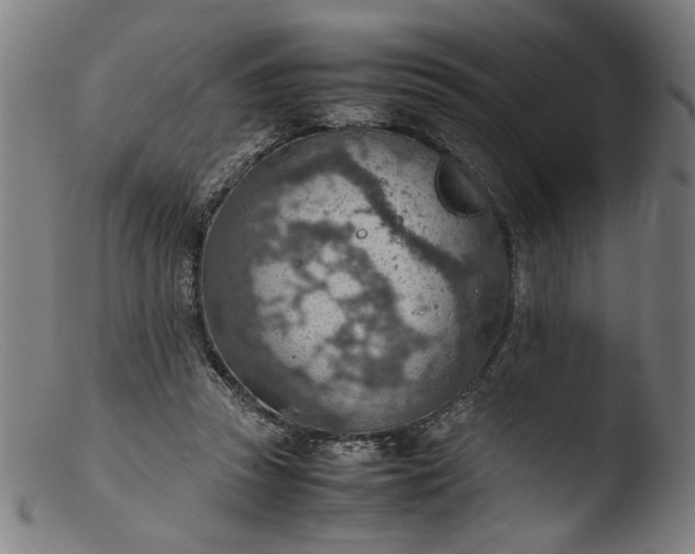 X0000103410353200809261649