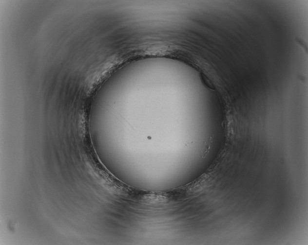 X0000103410354200809261649