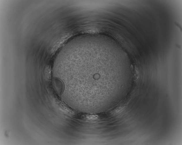 X0000103410355200809261649