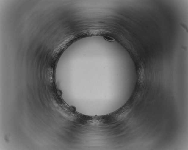 X0000103410356200809261649