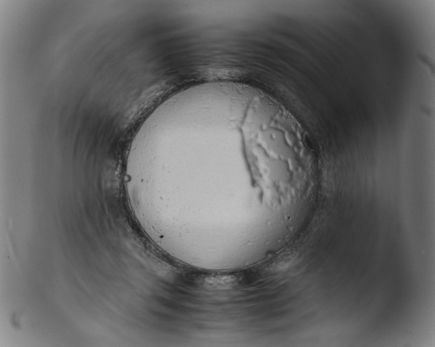 X0000103410357200809261649