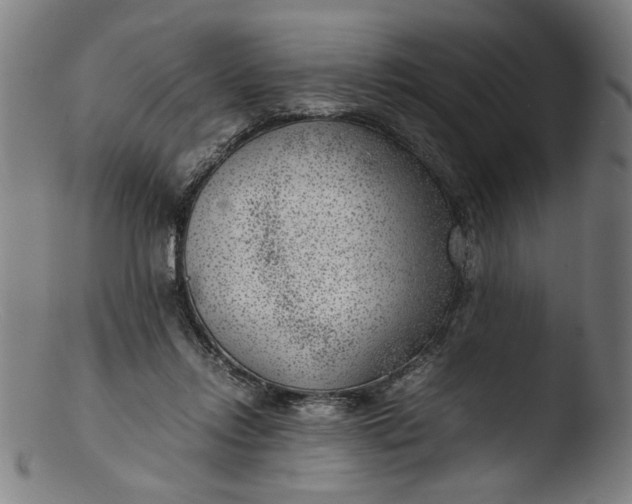 X0000103410358200809261649