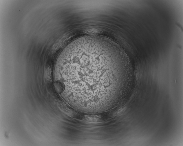 X0000103410359200809261649