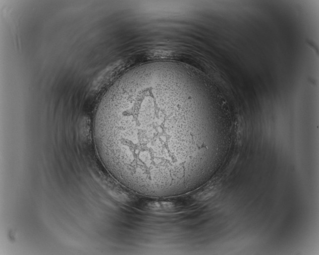 X0000103410361200809261649