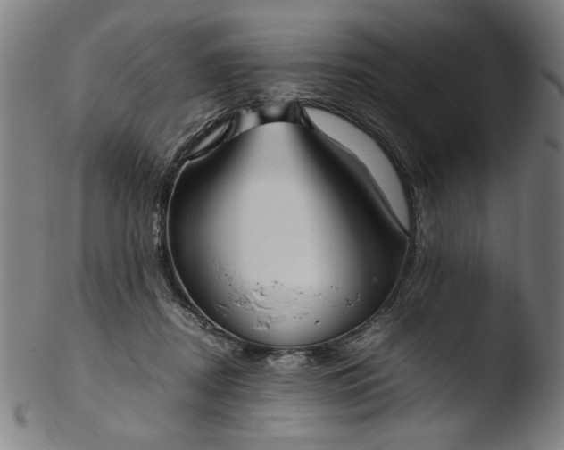 X0000103410362200809261649