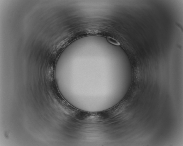 X0000103410364200809261649