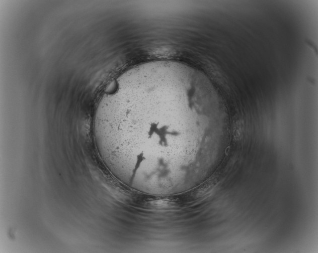 X0000103410365200809261649