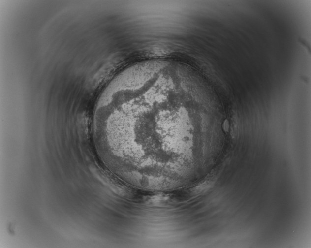 X0000103410366200809261649