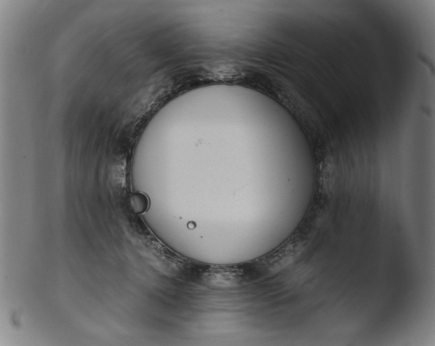 X0000103410368200809261649