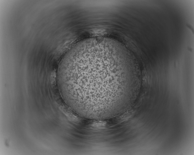 X0000103410369200809261649