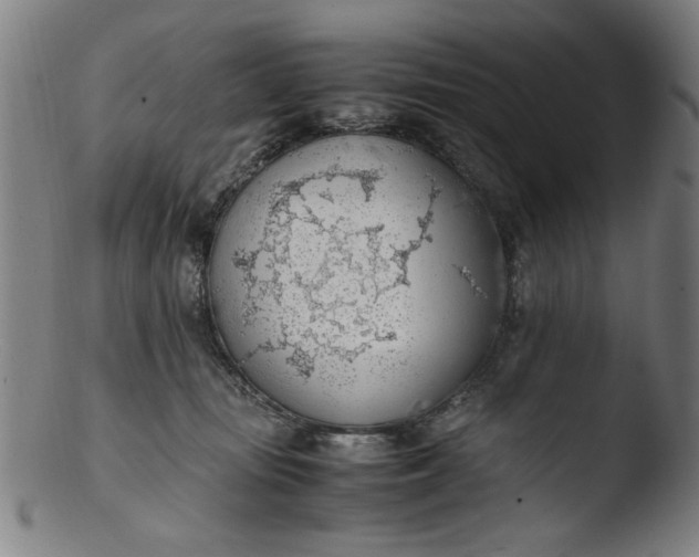 X0000103410371200809261649