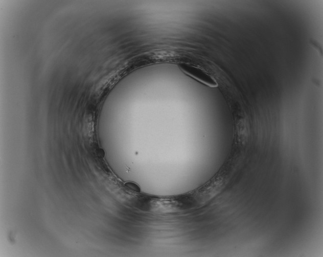 X0000103410372200809261649