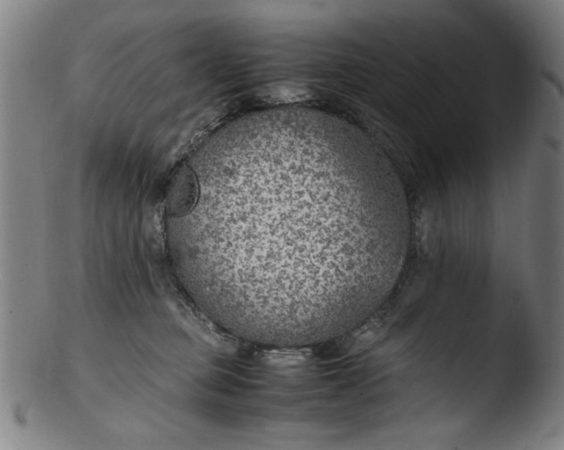 X0000103410373200809261649