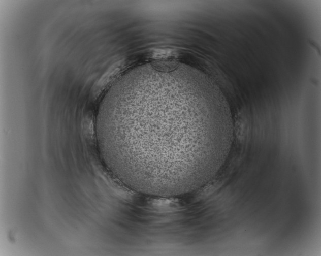 X0000103410375200809261649