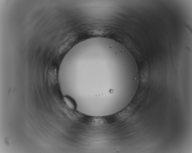 X0000103410376200809261649