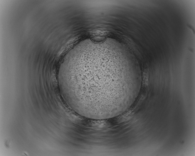 X0000103410377200809261649