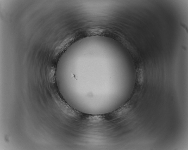 X0000103410378200809261649