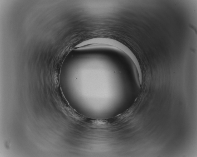 X0000103410380200809261649