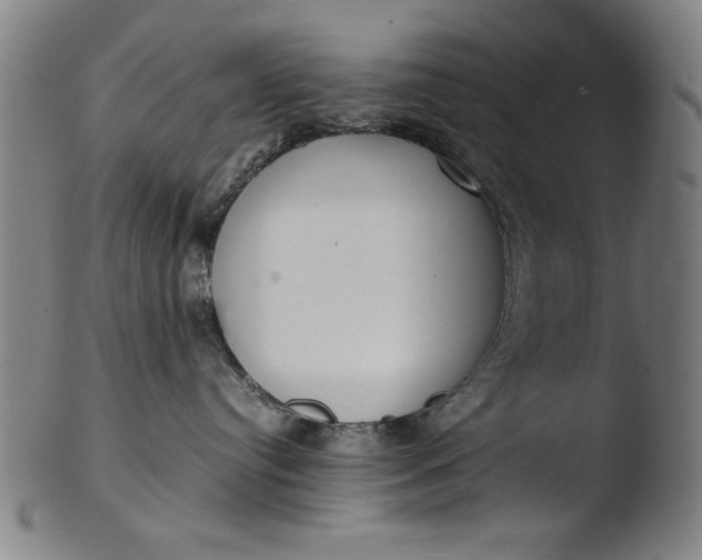 X0000103410384200809261649