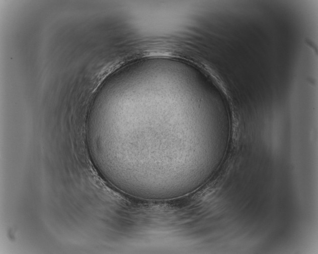 X0000103410385200809261648